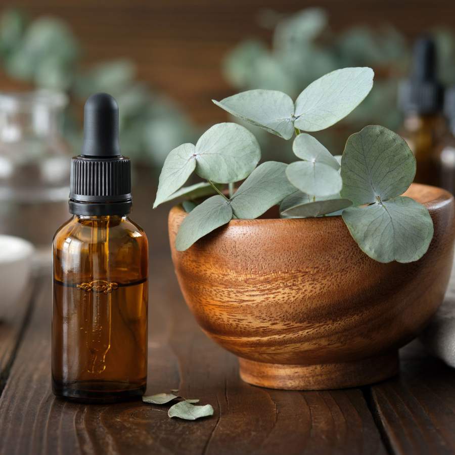 Aceite Esencial de Eucalipto  5ml