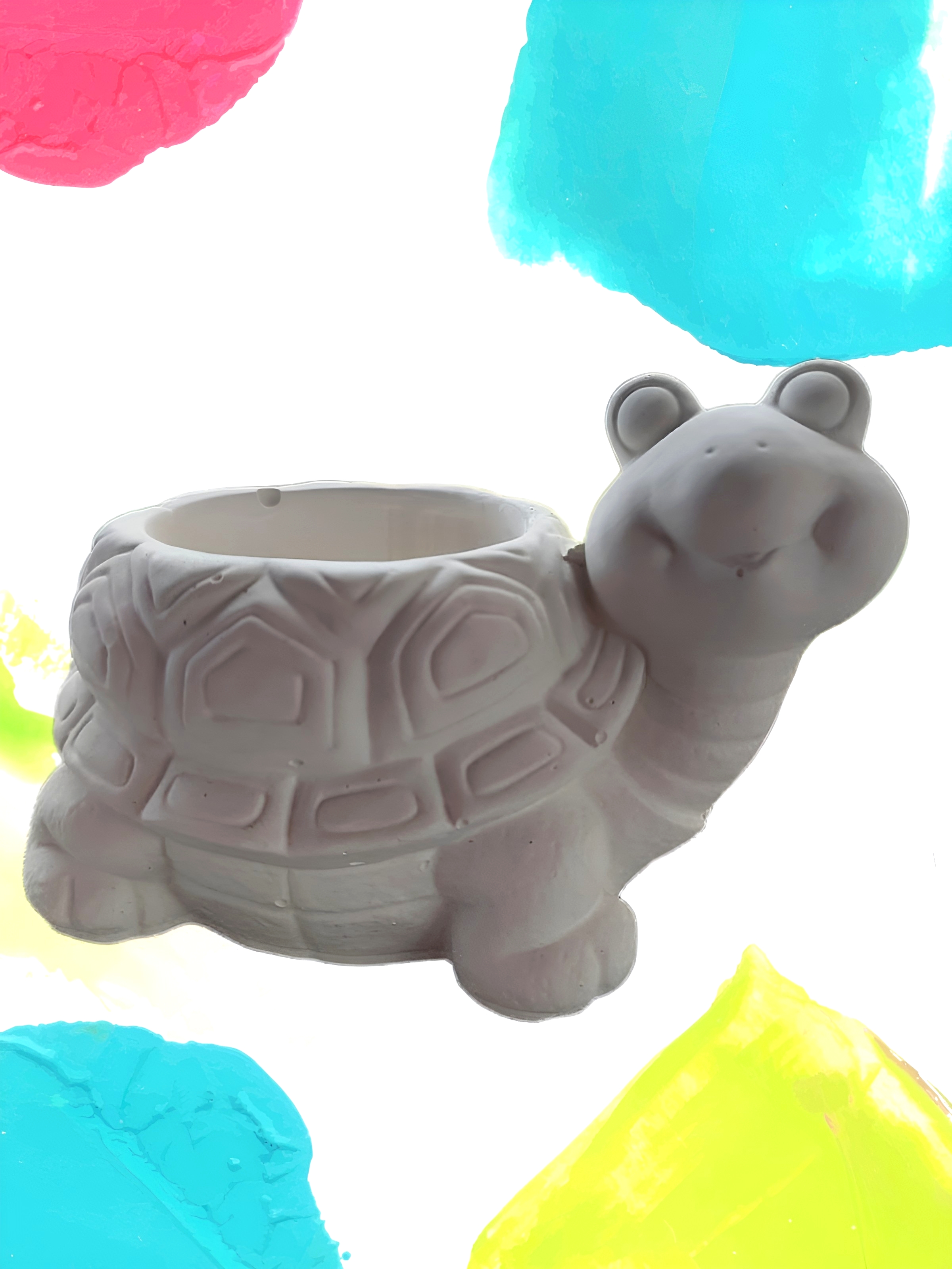 Tortuga sola